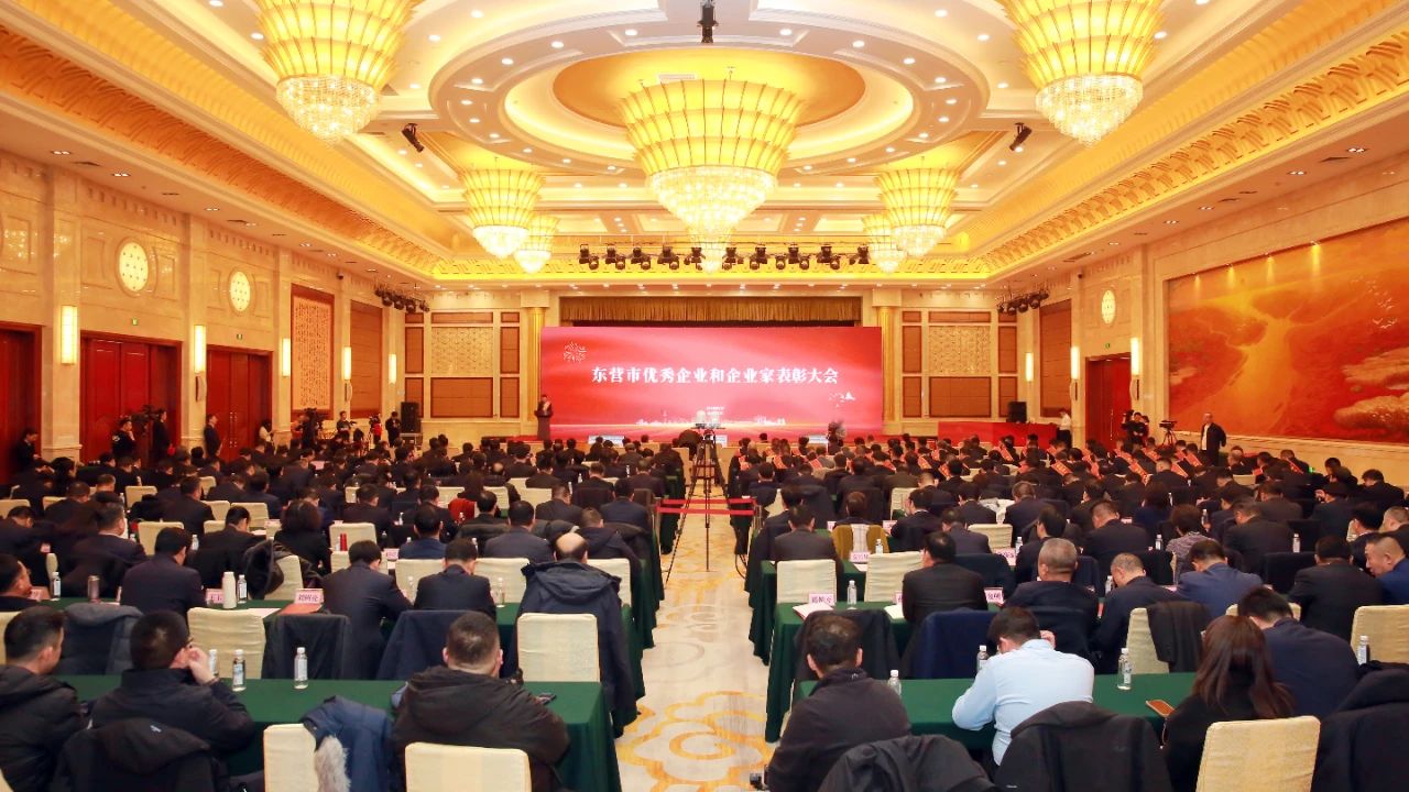创新实干 事争一流|云博(中国)材料荣获多项市、区级荣誉